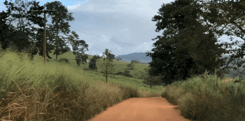 路途上.GIF